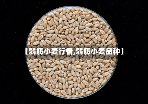 【弱筋小麦行情,弱筋小麦品种】-第2张图片