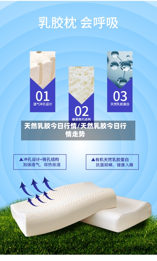 天然乳胶今日行情/天然乳胶今日行情走势-第2张图片