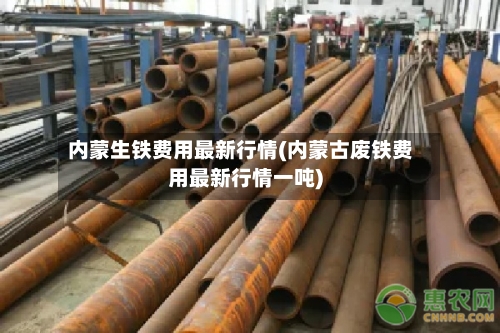 内蒙生铁费用最新行情(内蒙古废铁费用最新行情一吨)-第3张图片