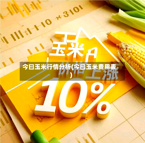 今曰玉米行情分析(今曰玉米费用表)