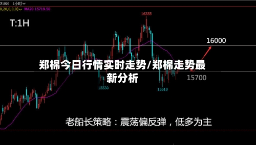 郑棉今日行情实时走势/郑棉走势最新分析-第2张图片