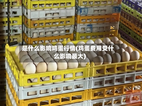 是什么影响鸡蛋行情(鸡蛋费用受什么影响最大)