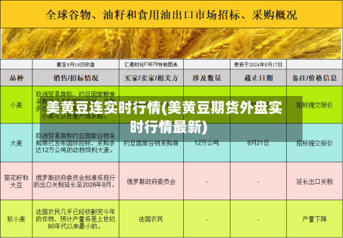 美黄豆连实时行情(美黄豆期货外盘实时行情最新)