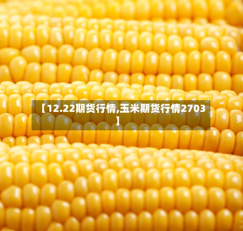【12.22期货行情,玉米期货行情2703】