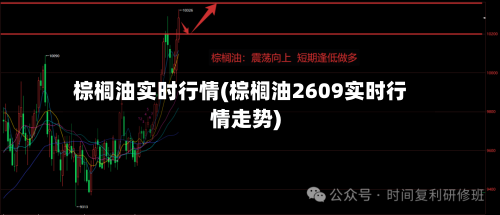 棕榈油实时行情(棕榈油2609实时行情走势)-第2张图片