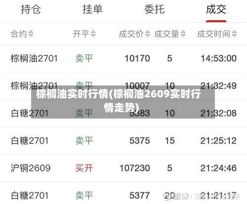 棕榈油实时行情(棕榈油2609实时行情走势)-第3张图片