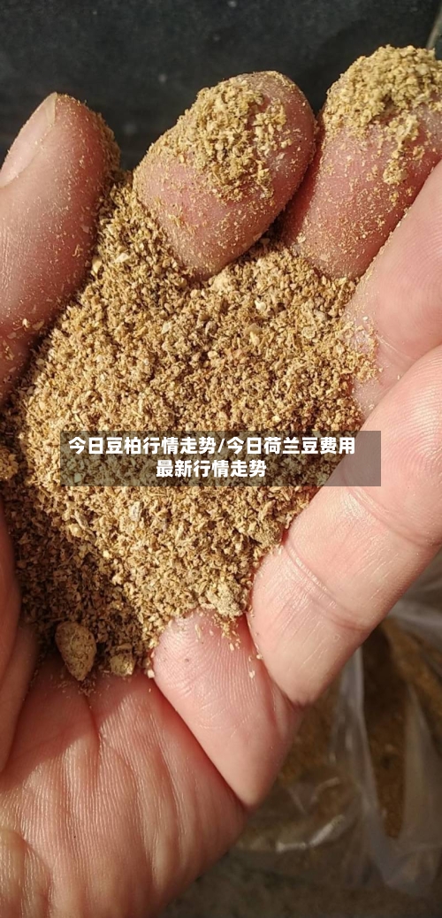 今日豆柏行情走势/今日荷兰豆费用最新行情走势