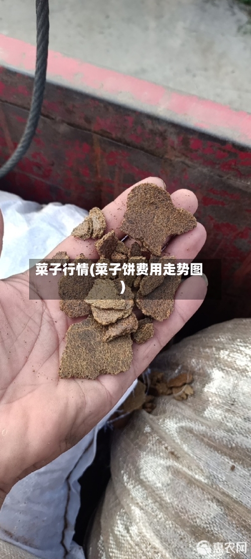 菜子行情(菜子饼费用走势图)-第2张图片