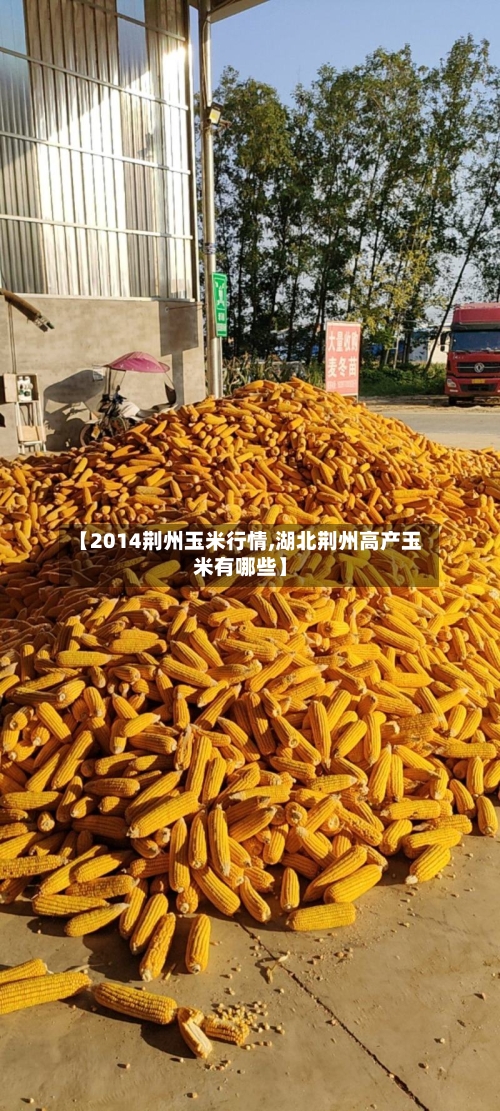 【2014荆州玉米行情,湖北荆州高产玉米有哪些】-第2张图片