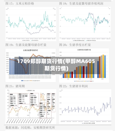 1709郑醇期货行情(甲醇MA605期货行情)-第2张图片