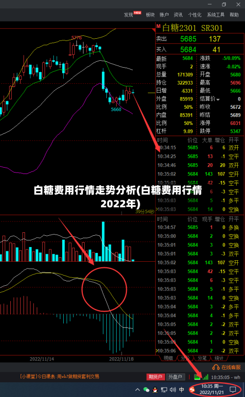 白糖费用行情走势分析(白糖费用行情2022年)-第2张图片