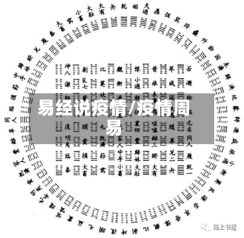易经说疫情/疫情周易-第2张图片