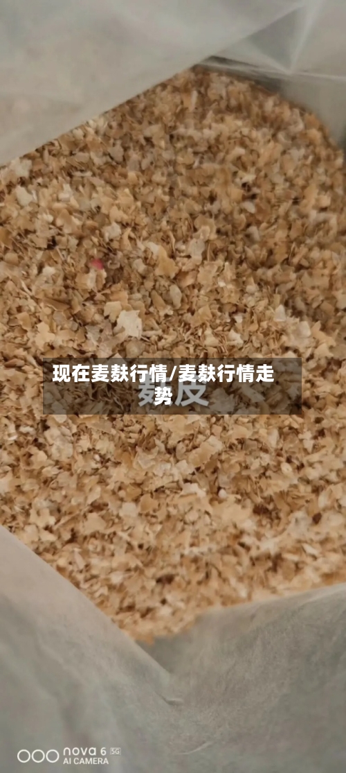 现在麦麸行情/麦麸行情走势