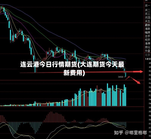 连云港今日行情期货(大连期货今天最新费用)-第2张图片
