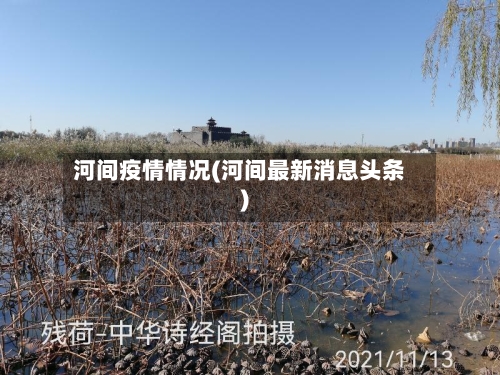 河间疫情情况(河间最新消息头条)-第2张图片