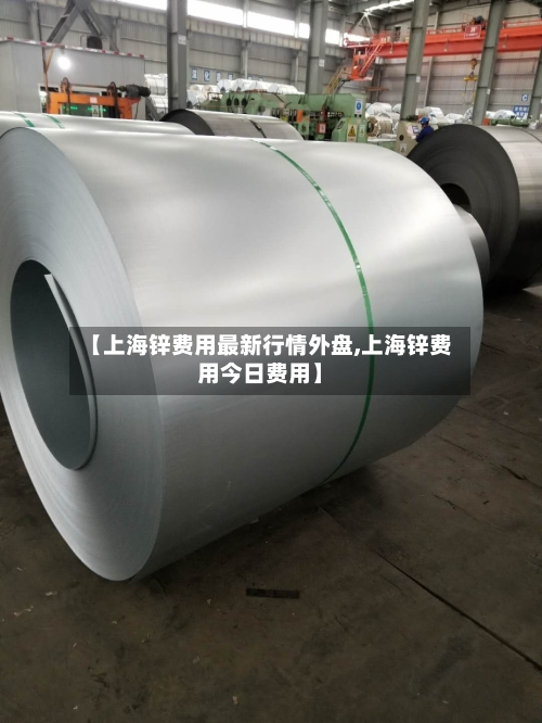 【上海锌费用最新行情外盘,上海锌费用今日费用】