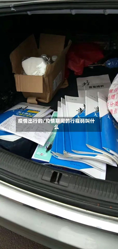 疫情出行的/疫情期间的行程码叫什么