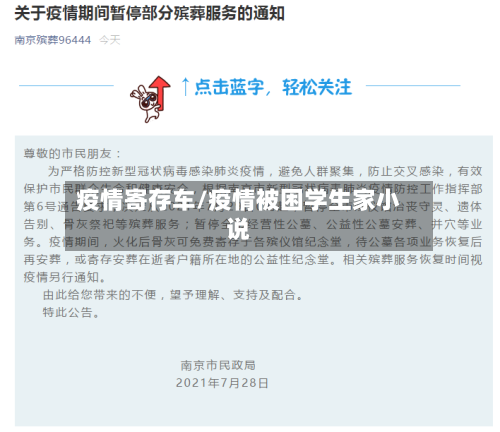 疫情寄存车/疫情被困学生家小说-第2张图片