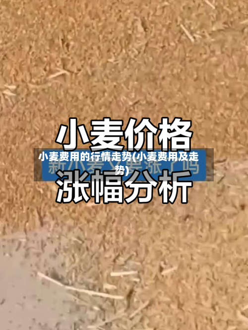 小麦费用的行情走势(小麦费用及走势)-第3张图片