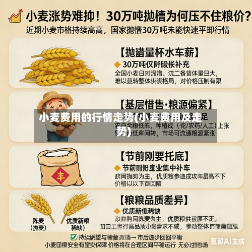 小麦费用的行情走势(小麦费用及走势)