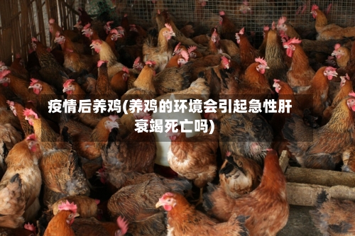 疫情后养鸡(养鸡的环境会引起急性肝衰竭死亡吗)-第2张图片