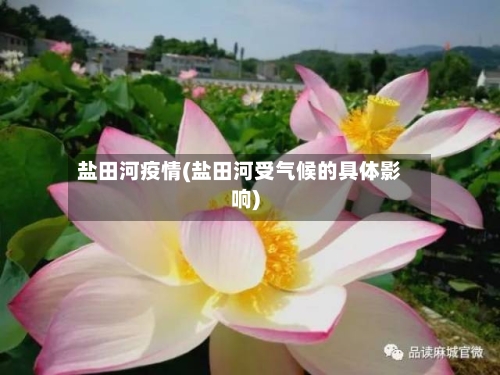 盐田河疫情(盐田河受气候的具体影响)