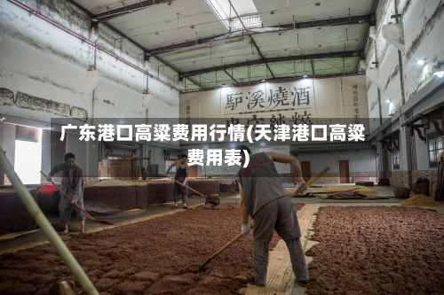 广东港口高粱费用行情(天津港口高粱费用表)-第2张图片