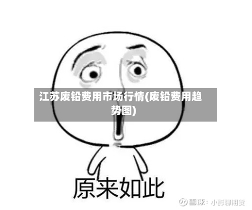 江苏废铅费用市场行情(废铅费用趋势图)-第3张图片