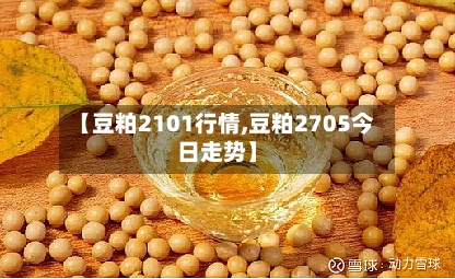 【豆粕2101行情,豆粕2705今日走势】-第2张图片
