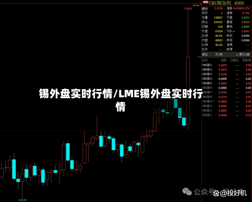 锡外盘实时行情/LME锡外盘实时行情-第2张图片