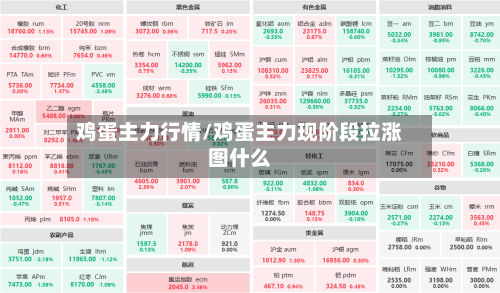 鸡蛋主力行情/鸡蛋主力现阶段拉涨图什么