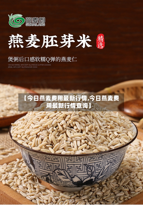 【今日燕麦费用最新行情,今日燕麦费用最新行情查询】-第2张图片