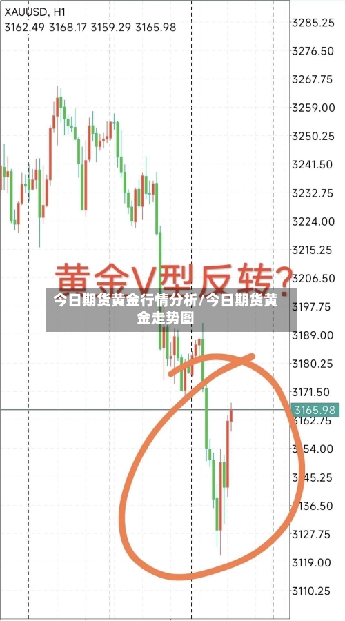 今日期货黄金行情分析/今日期货黄金走势图-第2张图片