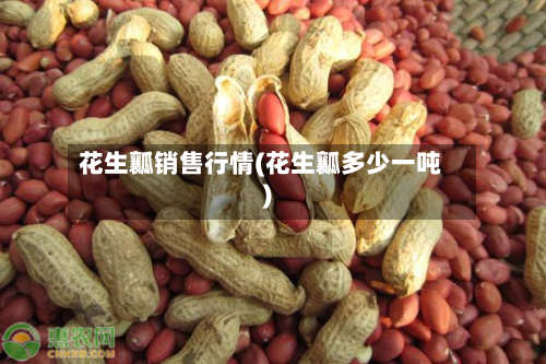 花生瓤销售行情(花生瓤多少一吨)