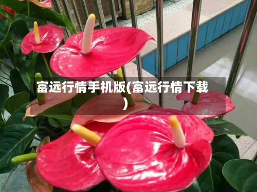 富远行情手机版(富远行情下载)-第3张图片