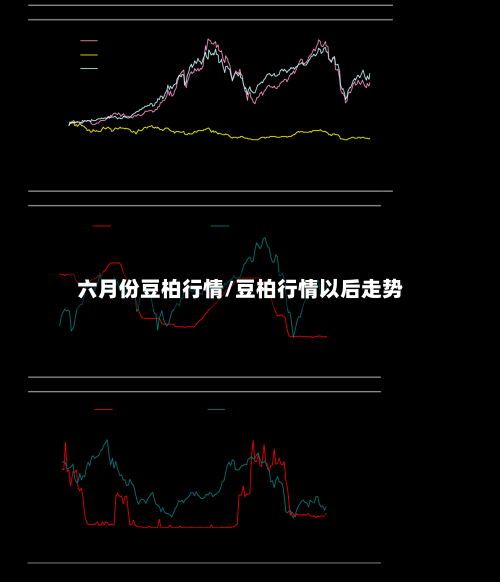 六月份豆柏行情/豆柏行情以后走势