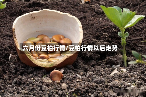 六月份豆柏行情/豆柏行情以后走势-第2张图片