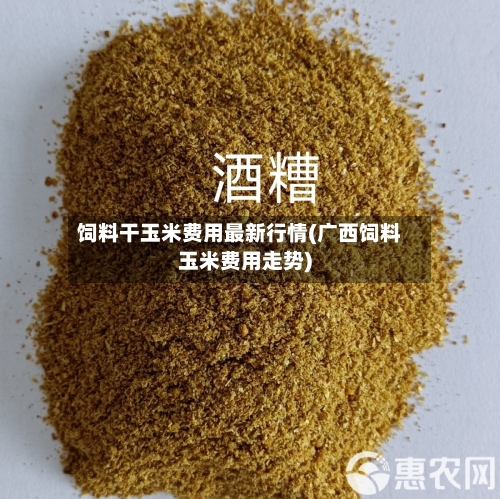 饲料干玉米费用最新行情(广西饲料玉米费用走势)