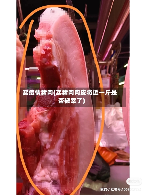买疫情猪肉(买猪肉肉皮将近一斤是否被宰了)-第2张图片