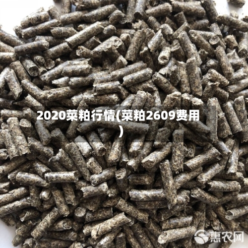 2020菜粕行情(菜粕2609费用)-第2张图片