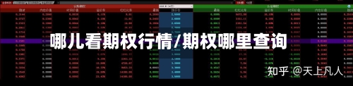 哪儿看期权行情/期权哪里查询