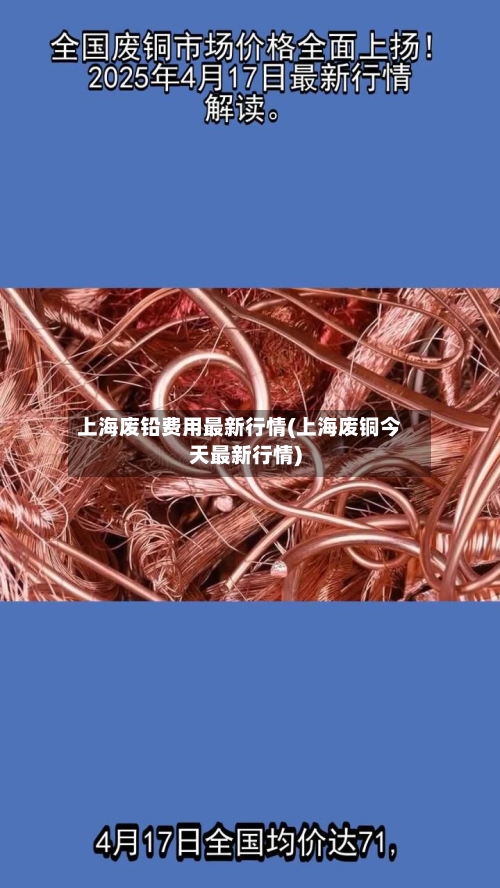 上海废铅费用最新行情(上海废铜今天最新行情)