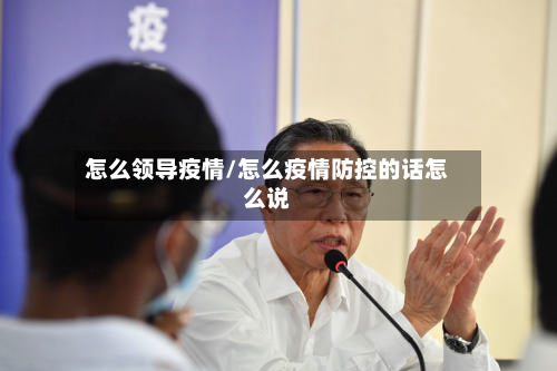怎么领导疫情/怎么疫情防控的话怎么说