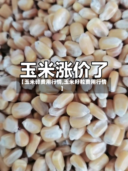 【玉米碎费用行情,玉米籽粒费用行情】