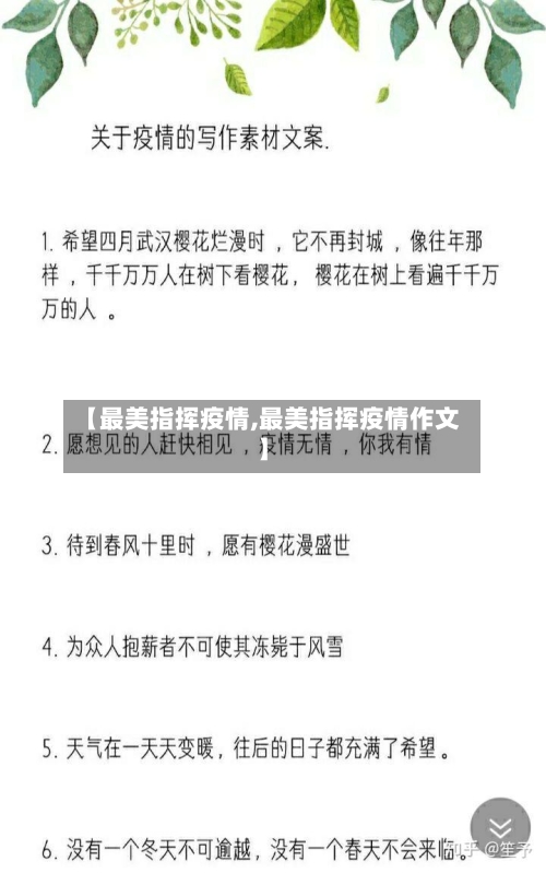 【最美指挥疫情,最美指挥疫情作文】-第2张图片