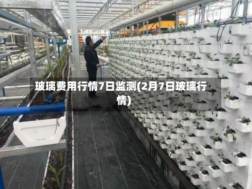 玻璃费用行情7日监测(2月7日玻璃行情)-第2张图片