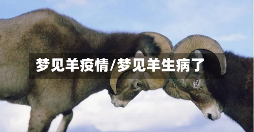 梦见羊疫情/梦见羊生病了-第2张图片