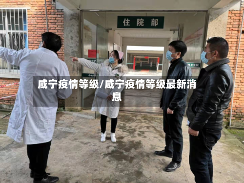 咸宁疫情等级/咸宁疫情等级最新消息-第2张图片