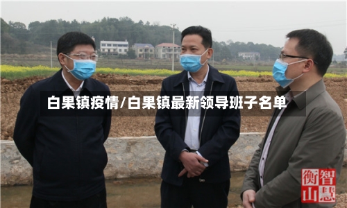 白果镇疫情/白果镇最新领导班子名单-第3张图片