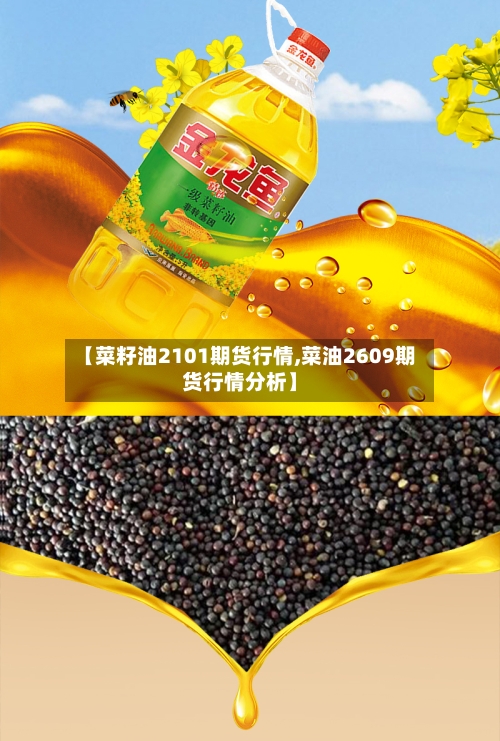 【菜籽油2101期货行情,菜油2609期货行情分析】